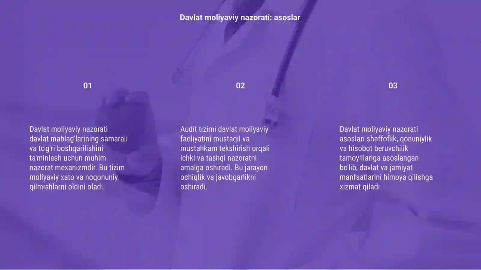 Davlat moliyaviy nazorati va audit tizimi 3
