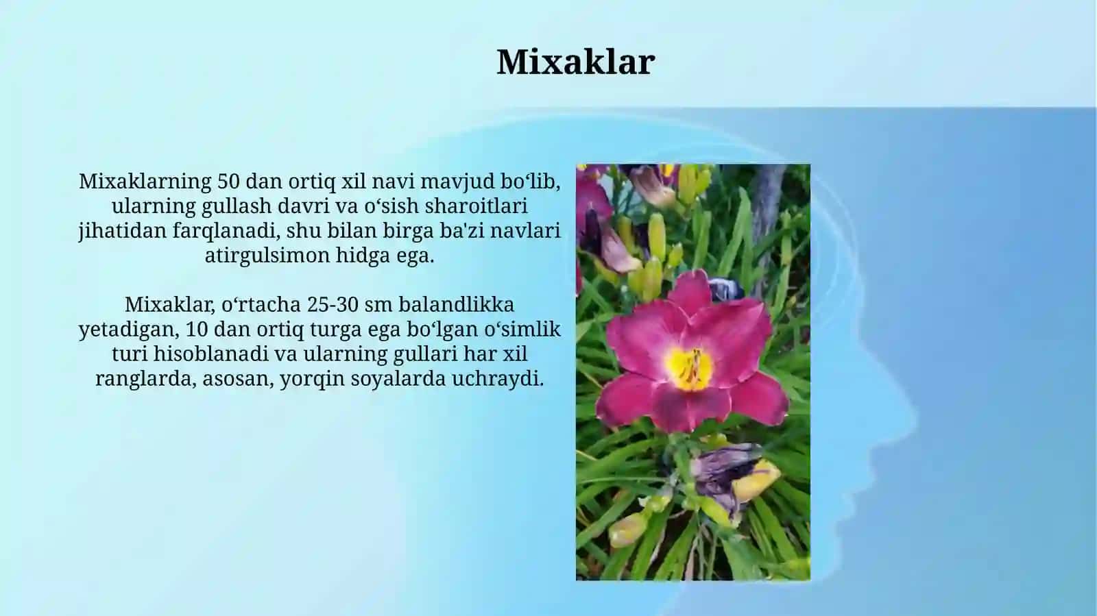Mixaklar 3