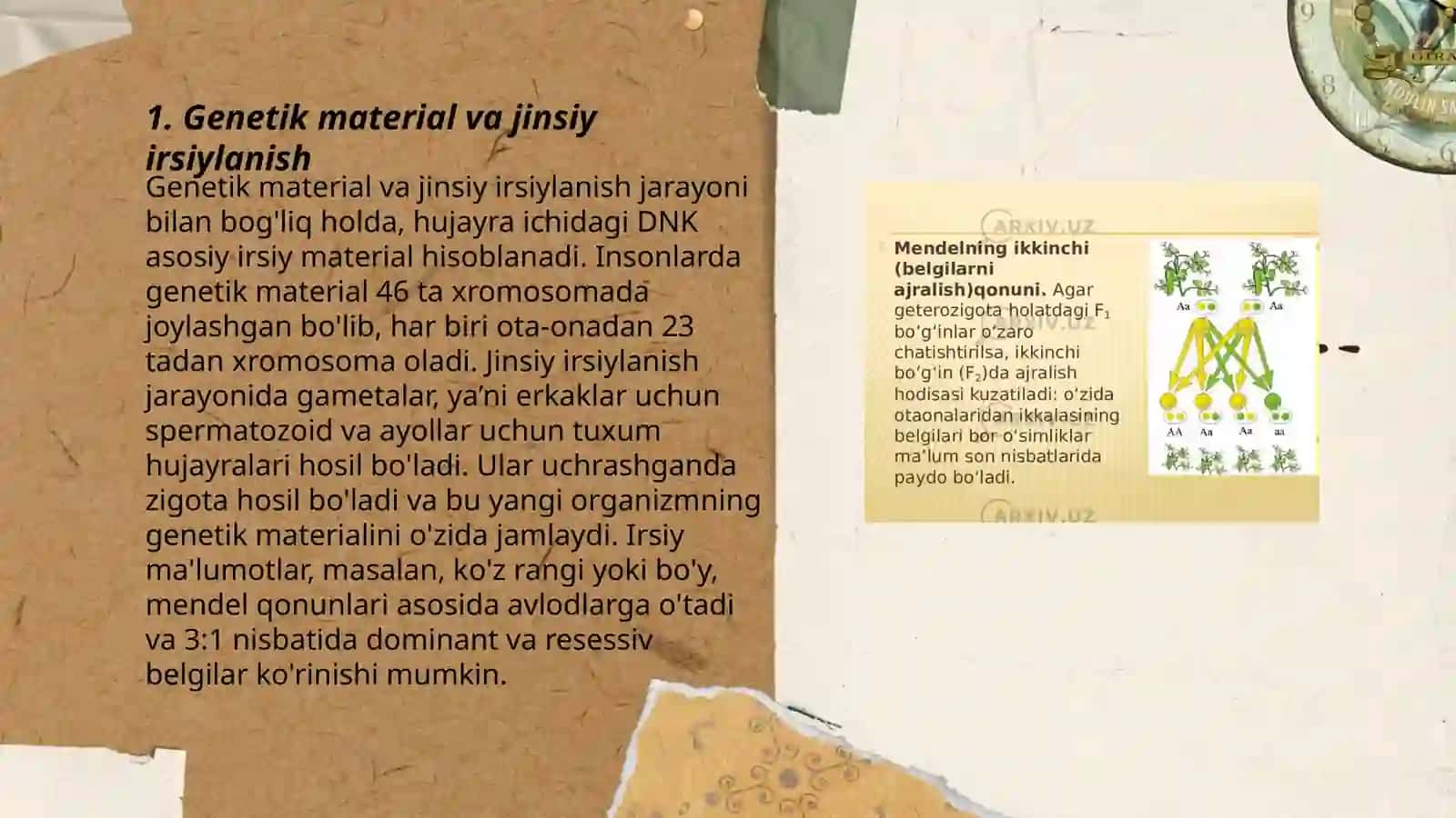 Genetik material va jinsiy irsiylanish 3