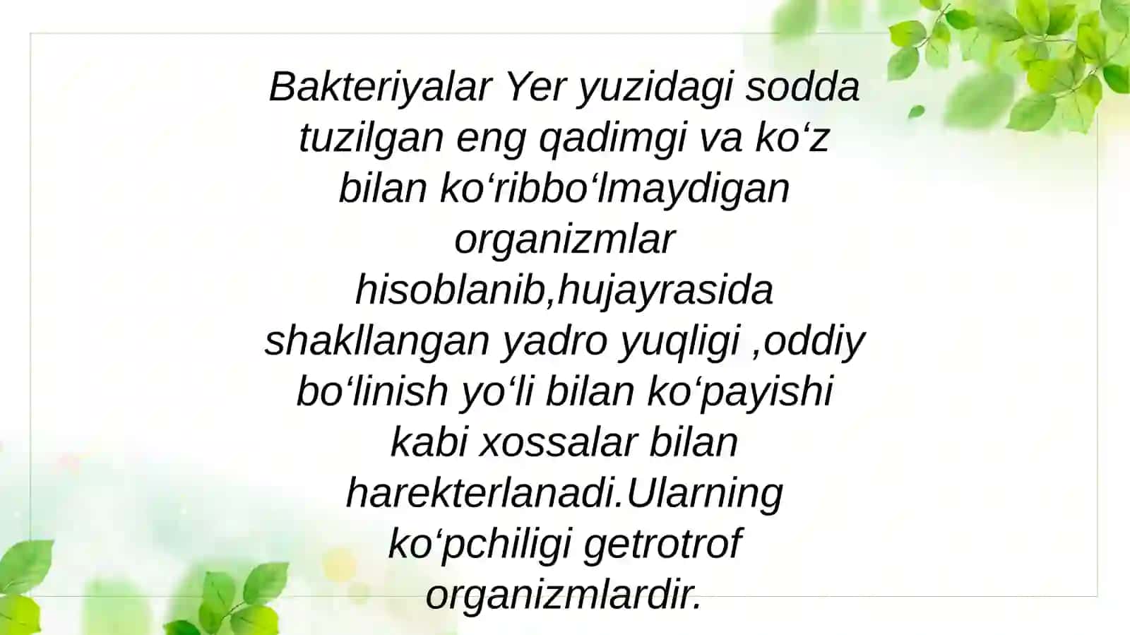 Mikroorganizmlarning klassifikatsiyasi 3