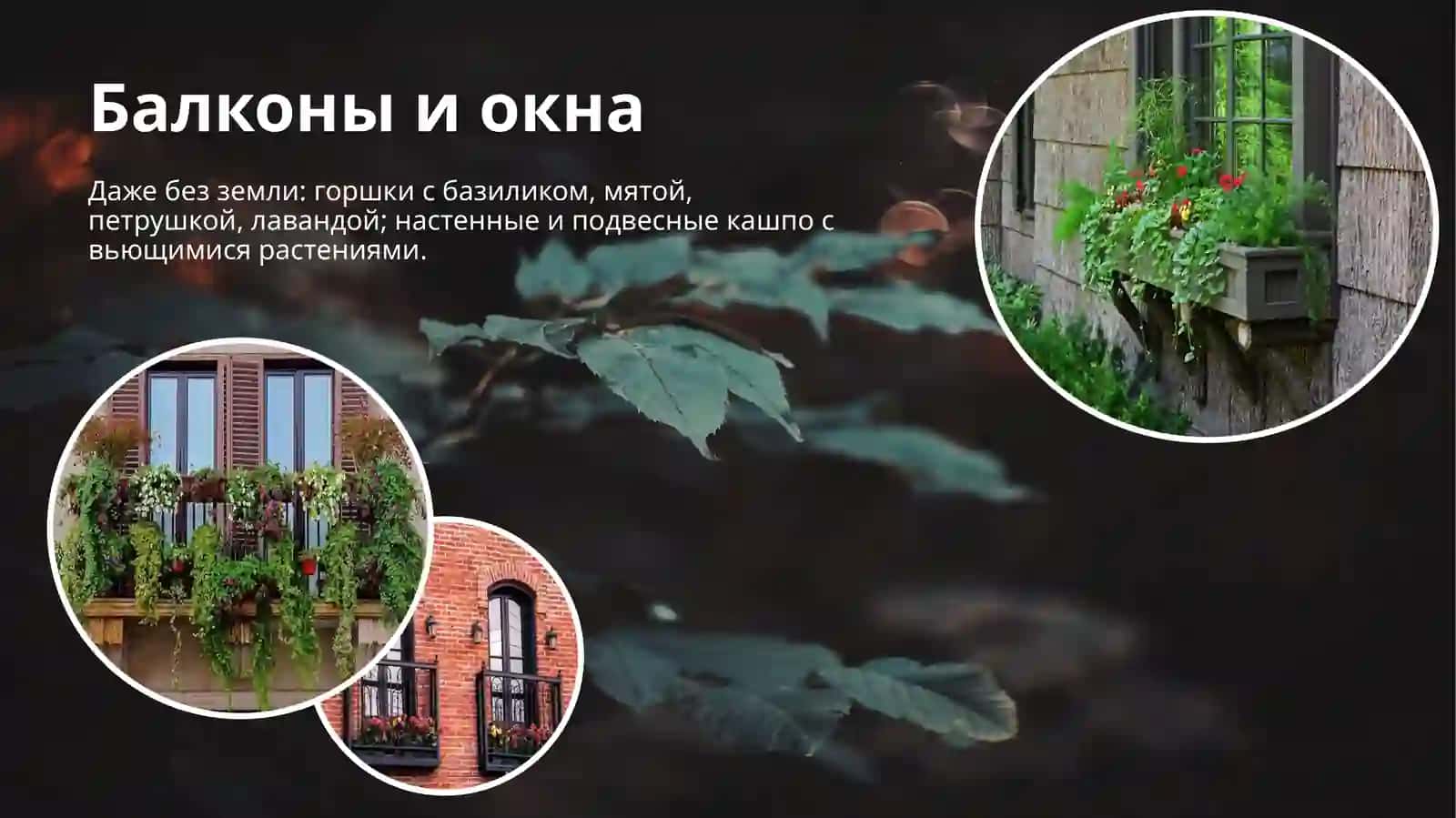 Сажать деревья в своем районе 3