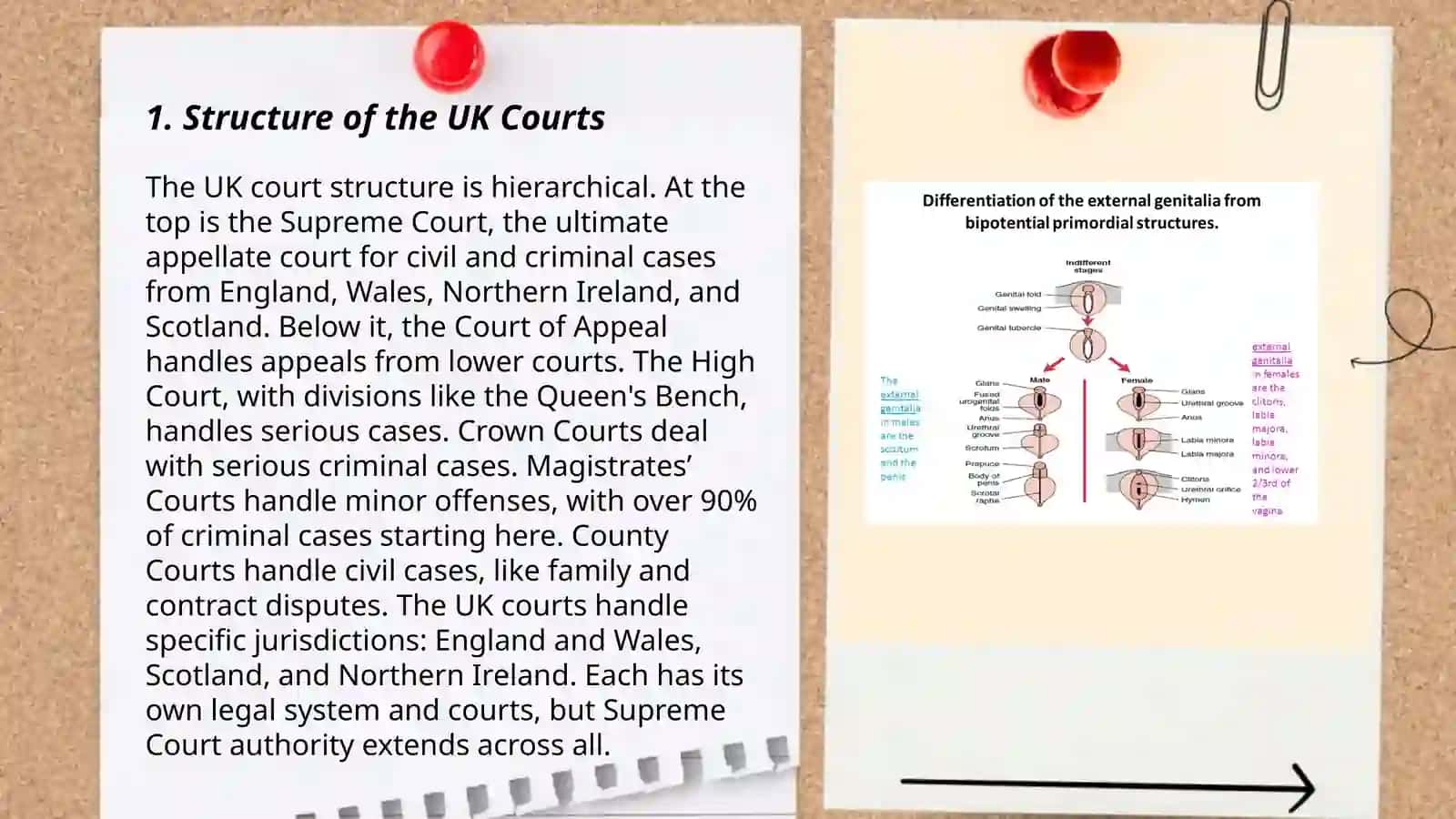 State and court system of UK 3