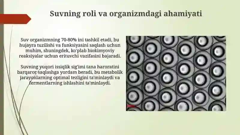 Oʻrganizmningsuv-disperssistemasi 3