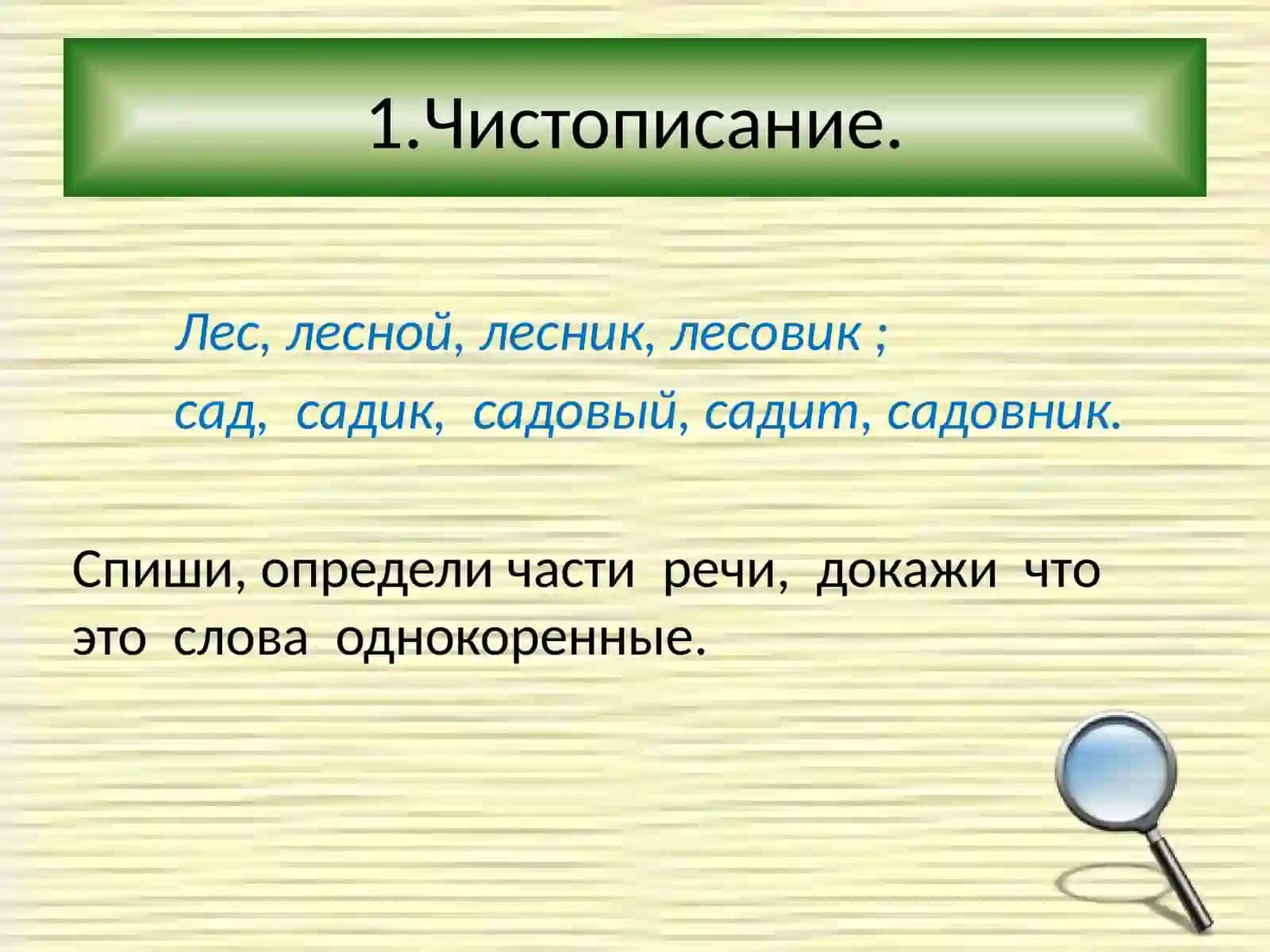 Род имён прилагательных 3