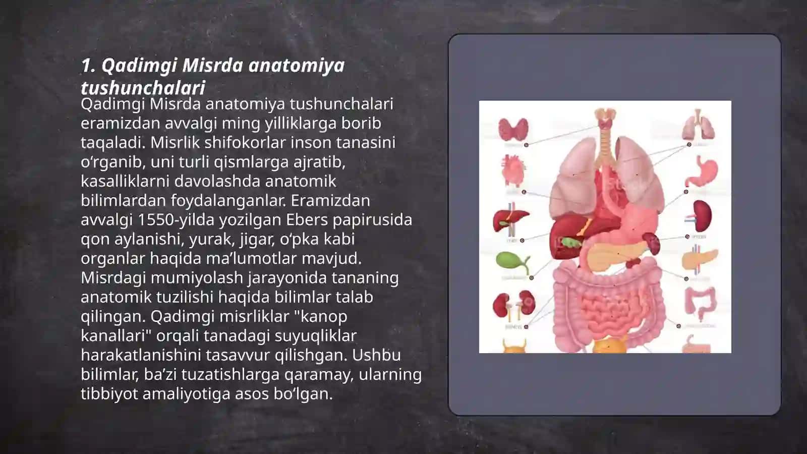 Anatomiya fanining rivojlanish tarixi 3