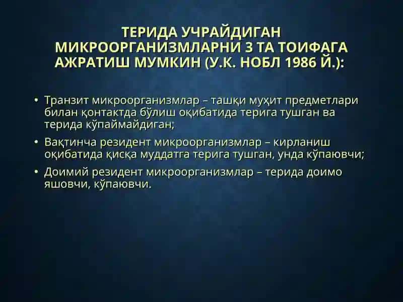 Терининг йирингли касалликлари-пиодермитлар 3