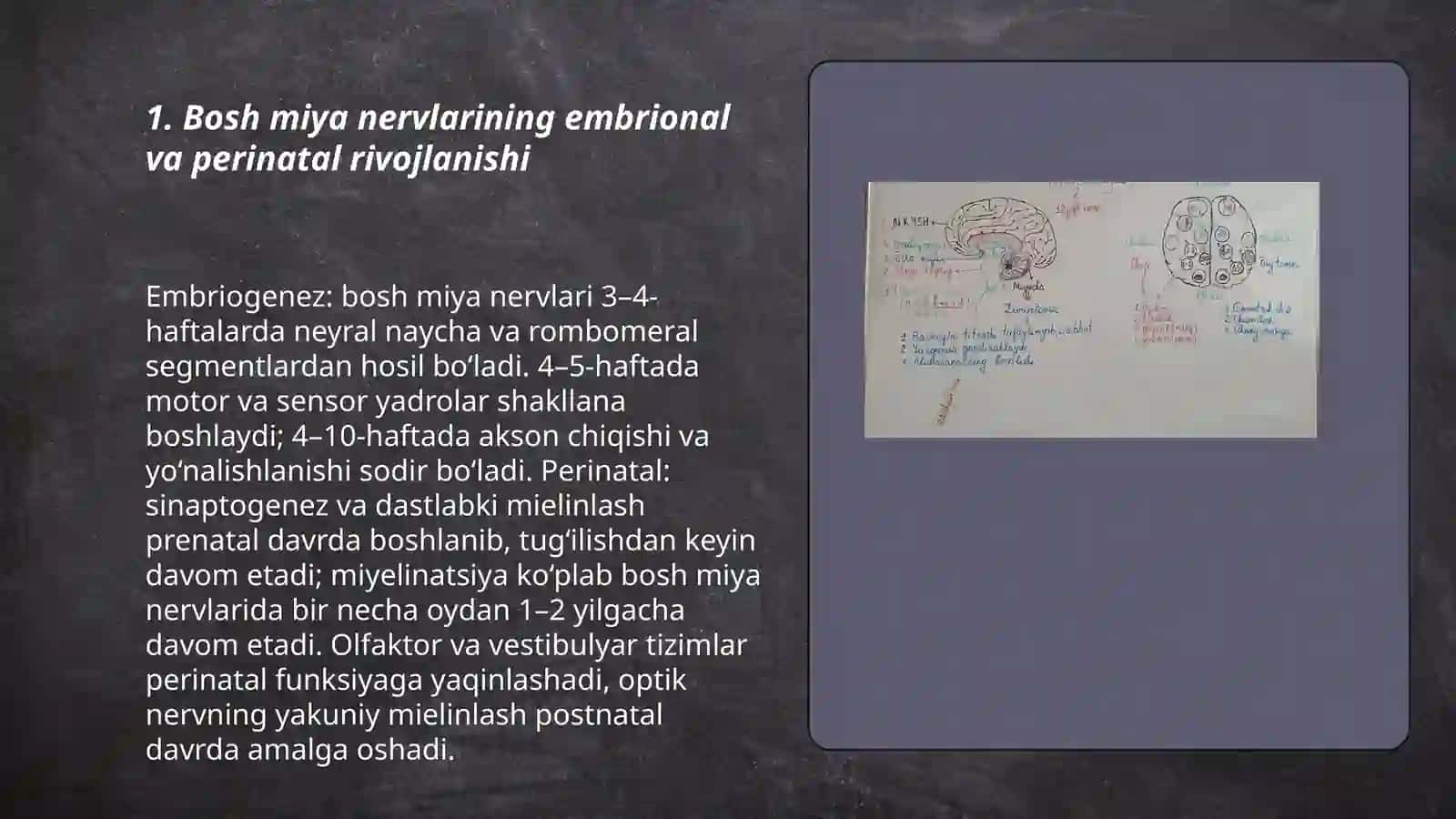 Bosh miya nervlaring yoshga doir xususiyatlari 3