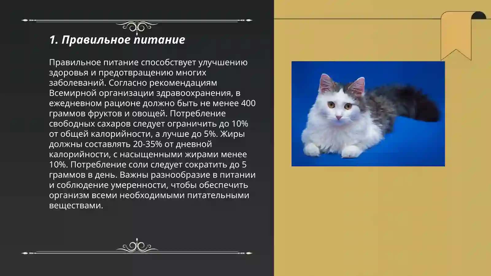 Здоровый образ жизни 3