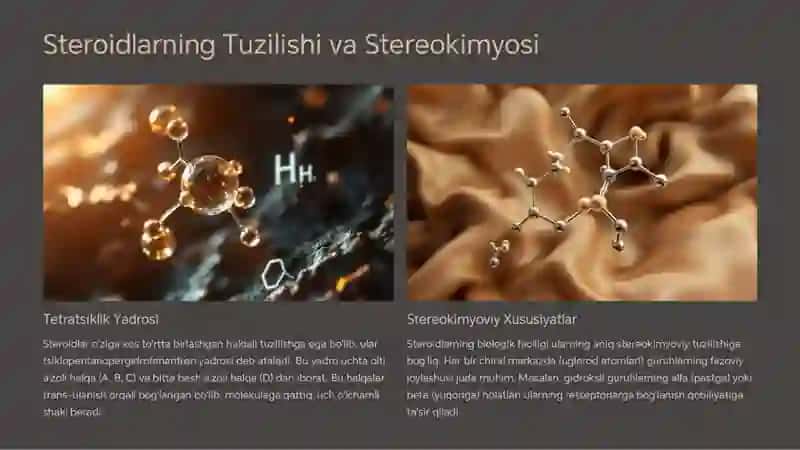 Steroidlar va terpenlar 3