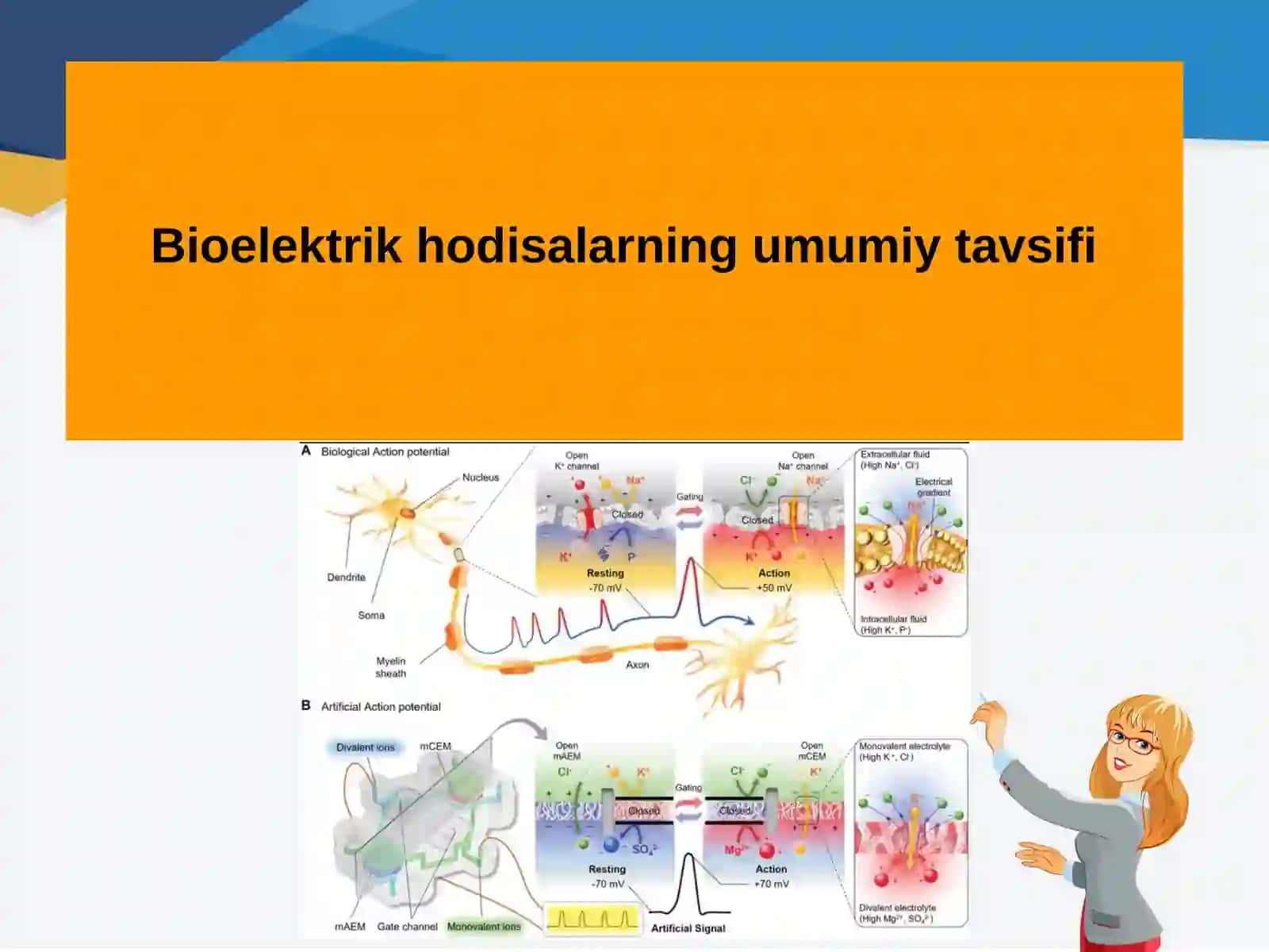 Tirikto‘qimalarda bioelektrik hodisalar 3