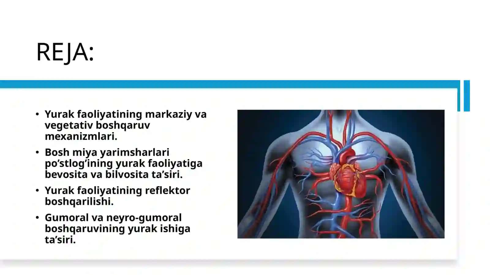 Aguruh Nashvandova Ruxshona 3