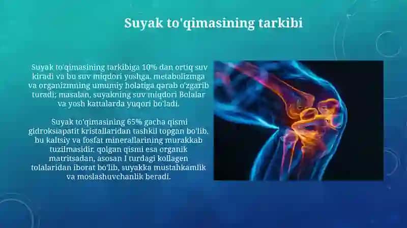 Suyak toʻqimasi 3