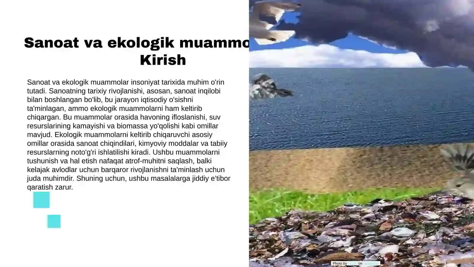 Sanoat va ekologik muammolar 3