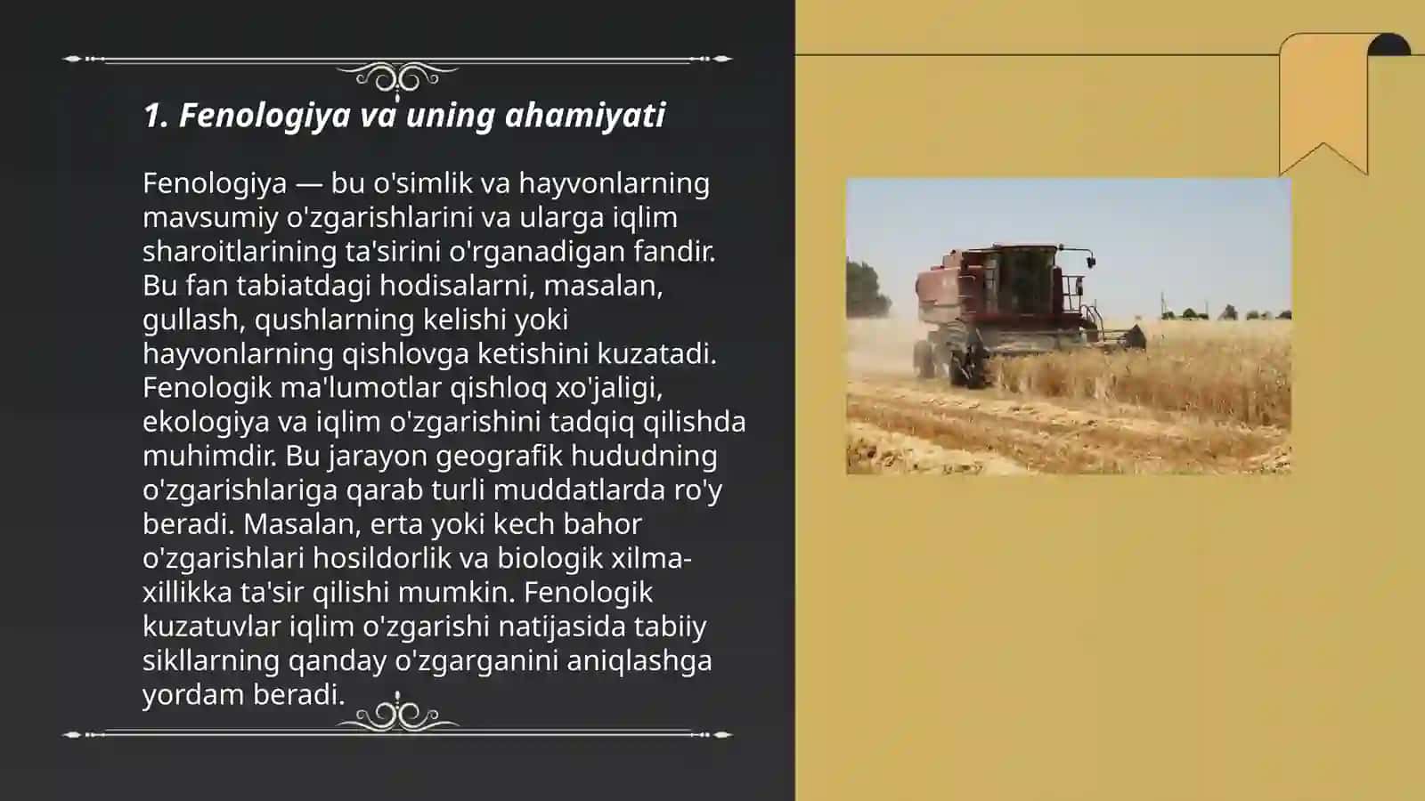 Buğdoyda fenologik kuzatuvlar olib borish 3