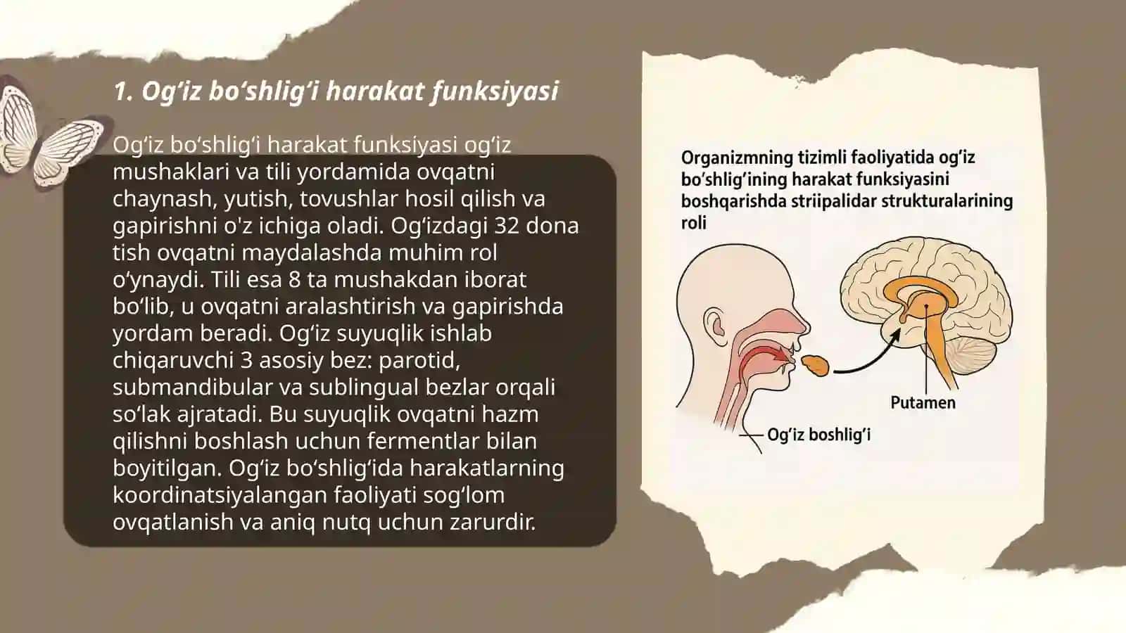 Striipalidar strukturalarining roli 3