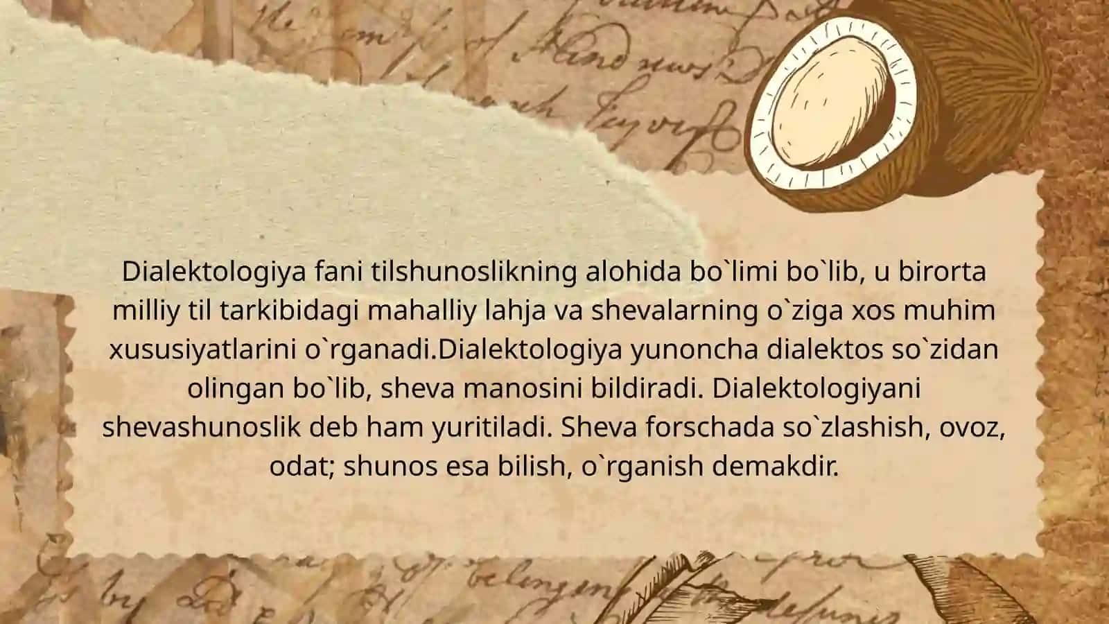 O'zbek shevalarining o'rganilishi tarixi 3