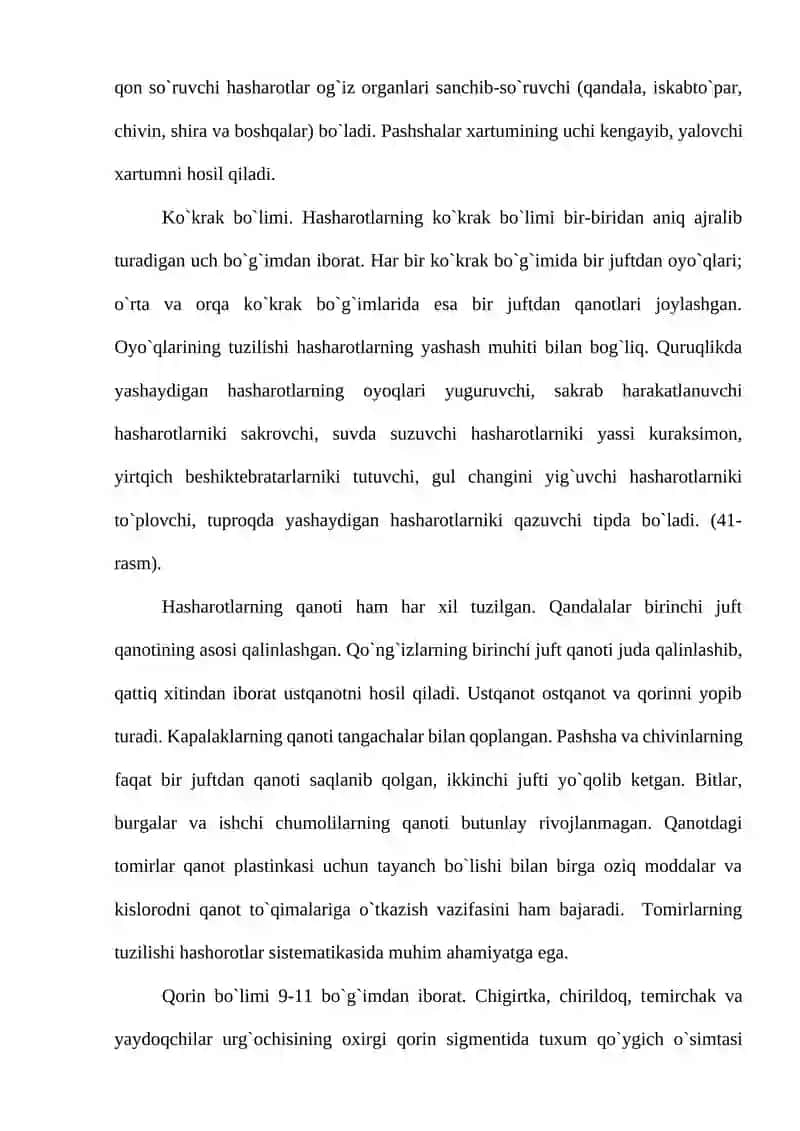Hasharotlar sistematikasi 3