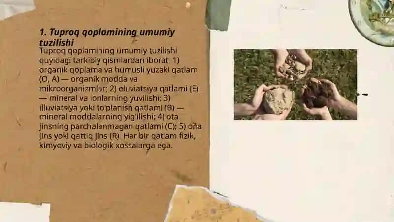 Tuproq qoplamining tuzilishi 3