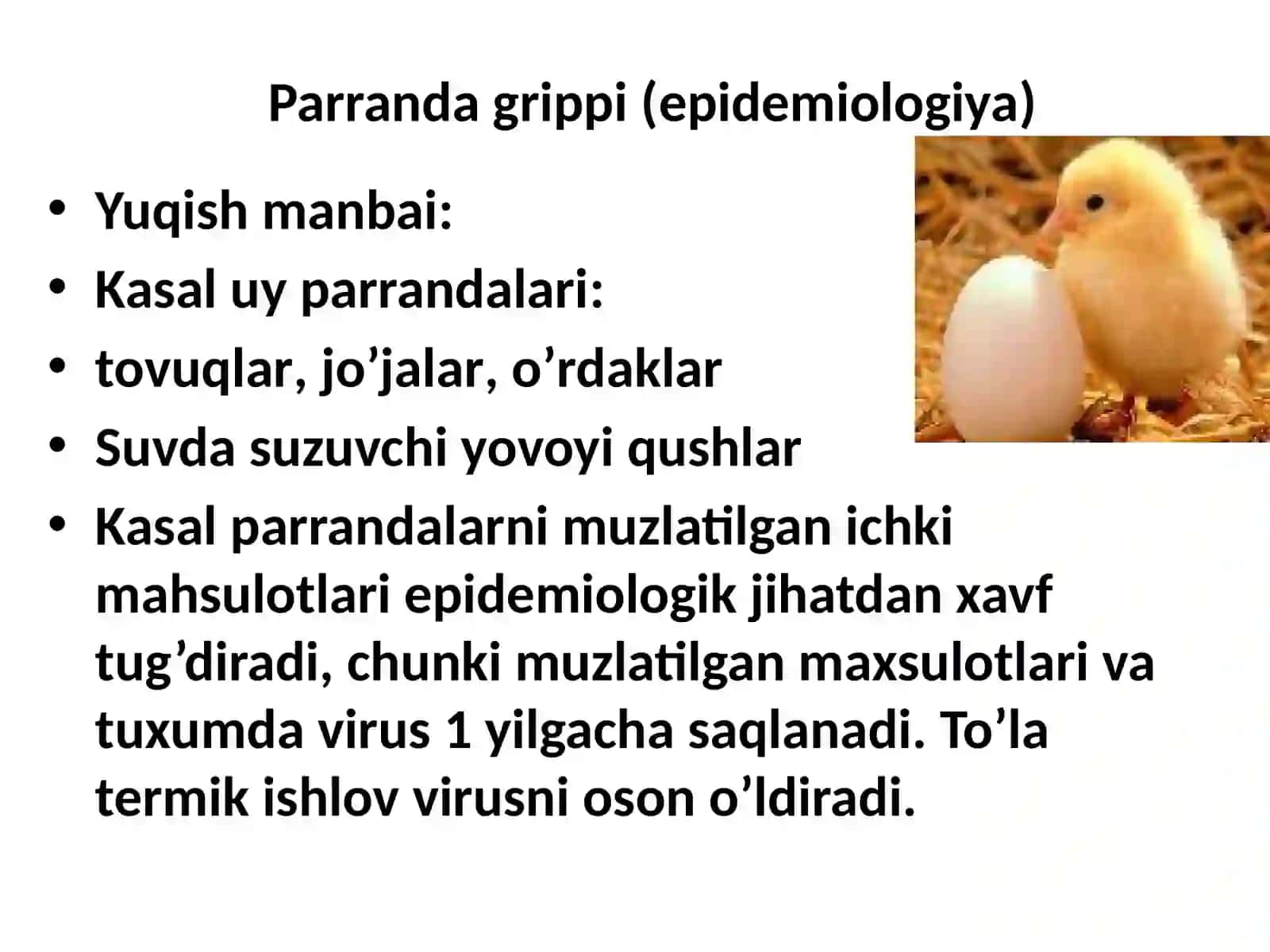 Parranda grippi 3