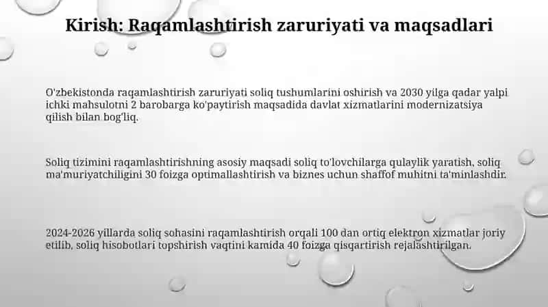 O'zbekistonda soliq tizimini raqamlashtirish 3