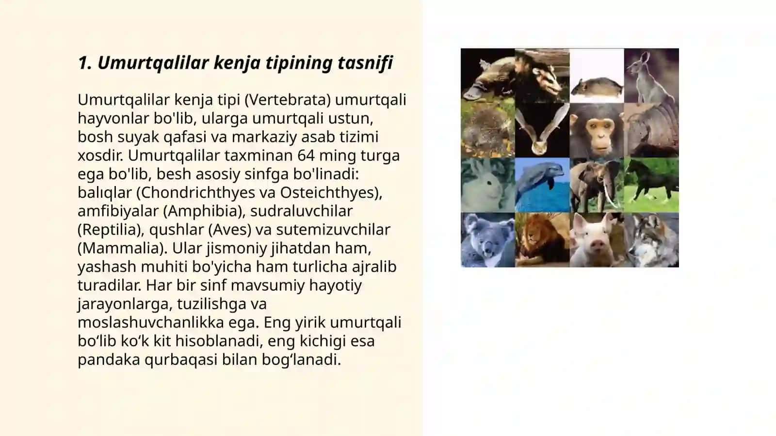 Umurtqalilar 3