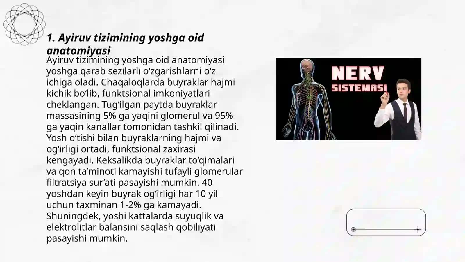 Ayiruv tizimining yoshga oid anatomiyasi 3
