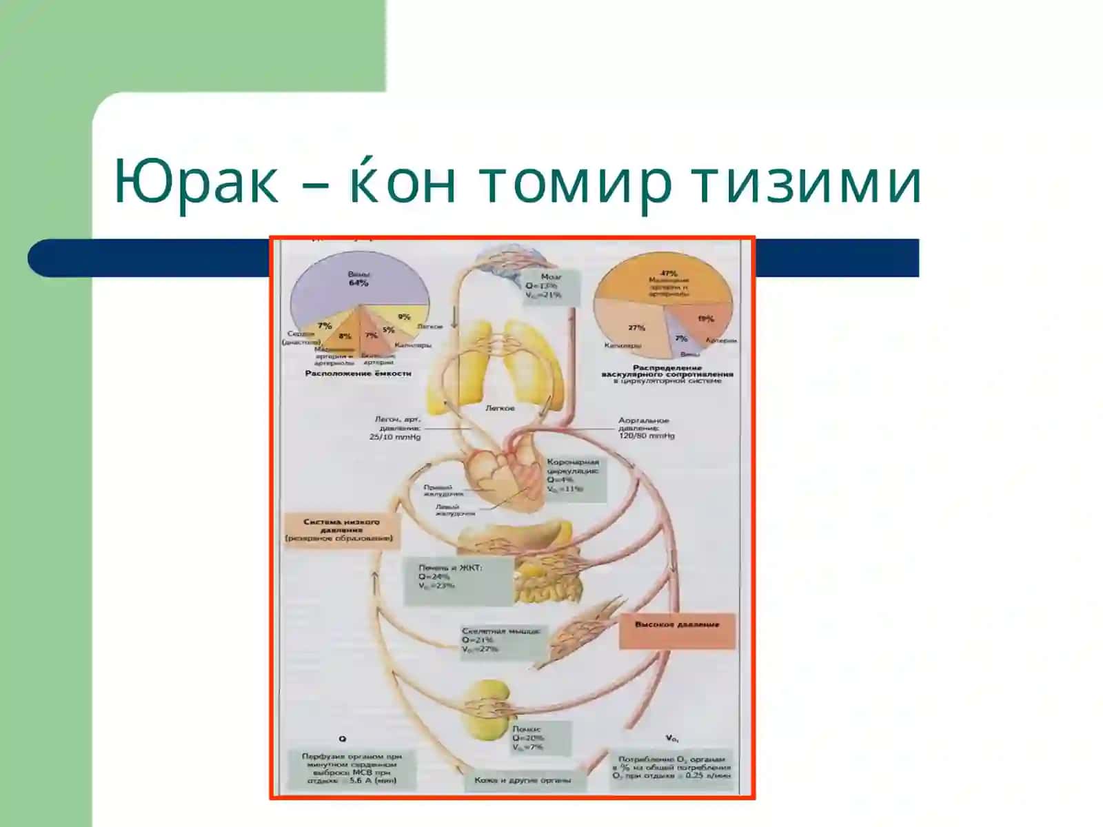 Томирлар тизими 3