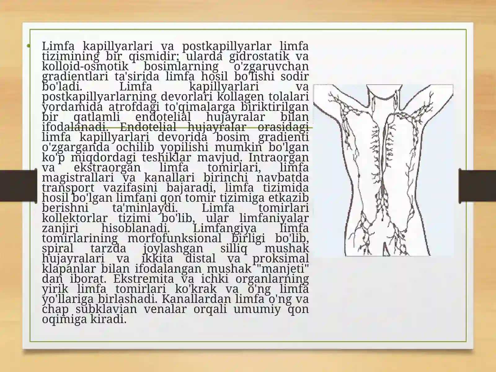 Gistologiya fanidan mustaqil ishi 3