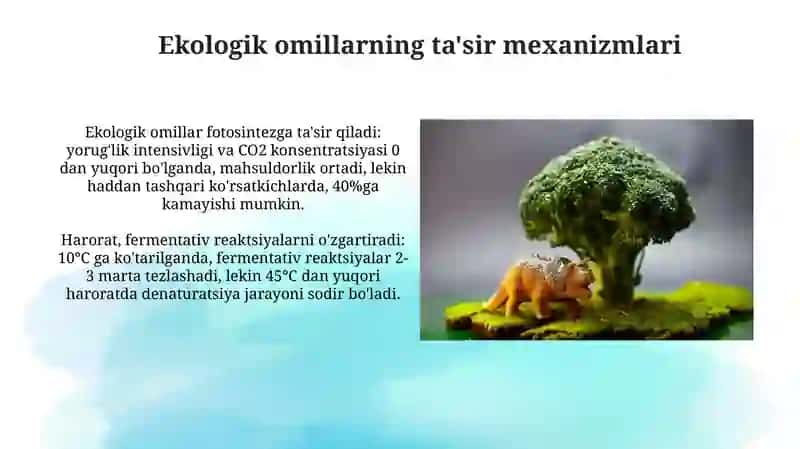 Ekologik omillar ta'sir mexanizmlari 3