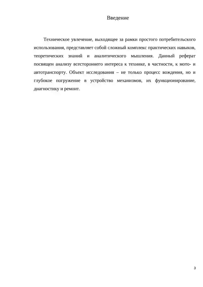 Реферат на тему: «Моё хобби и мои увлечения» 3
