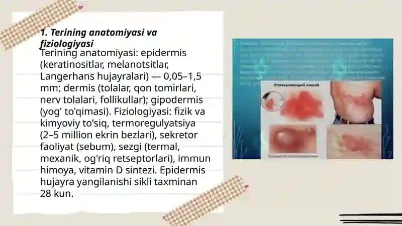 Terining Turli Kasalliklari va Gelmentozlari 3
