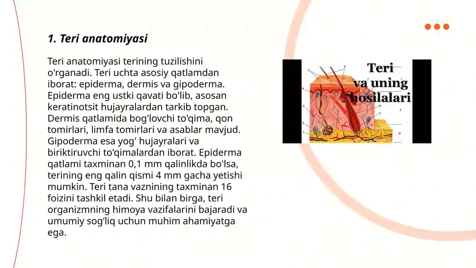 Teri tuzilishi va funksiyasi 3
