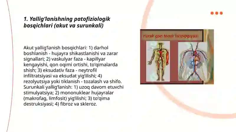 Yalligʻlanish patofiziologiyasi 3