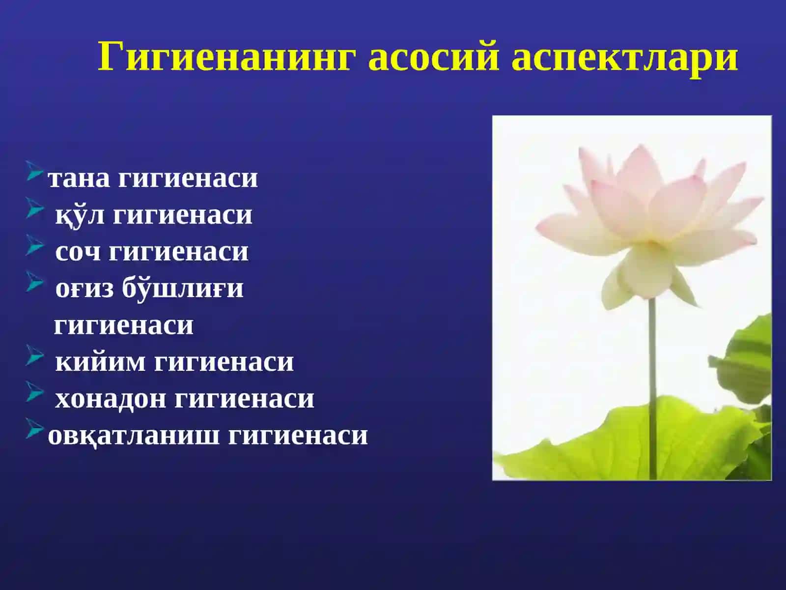 Шахсийгигиена 3