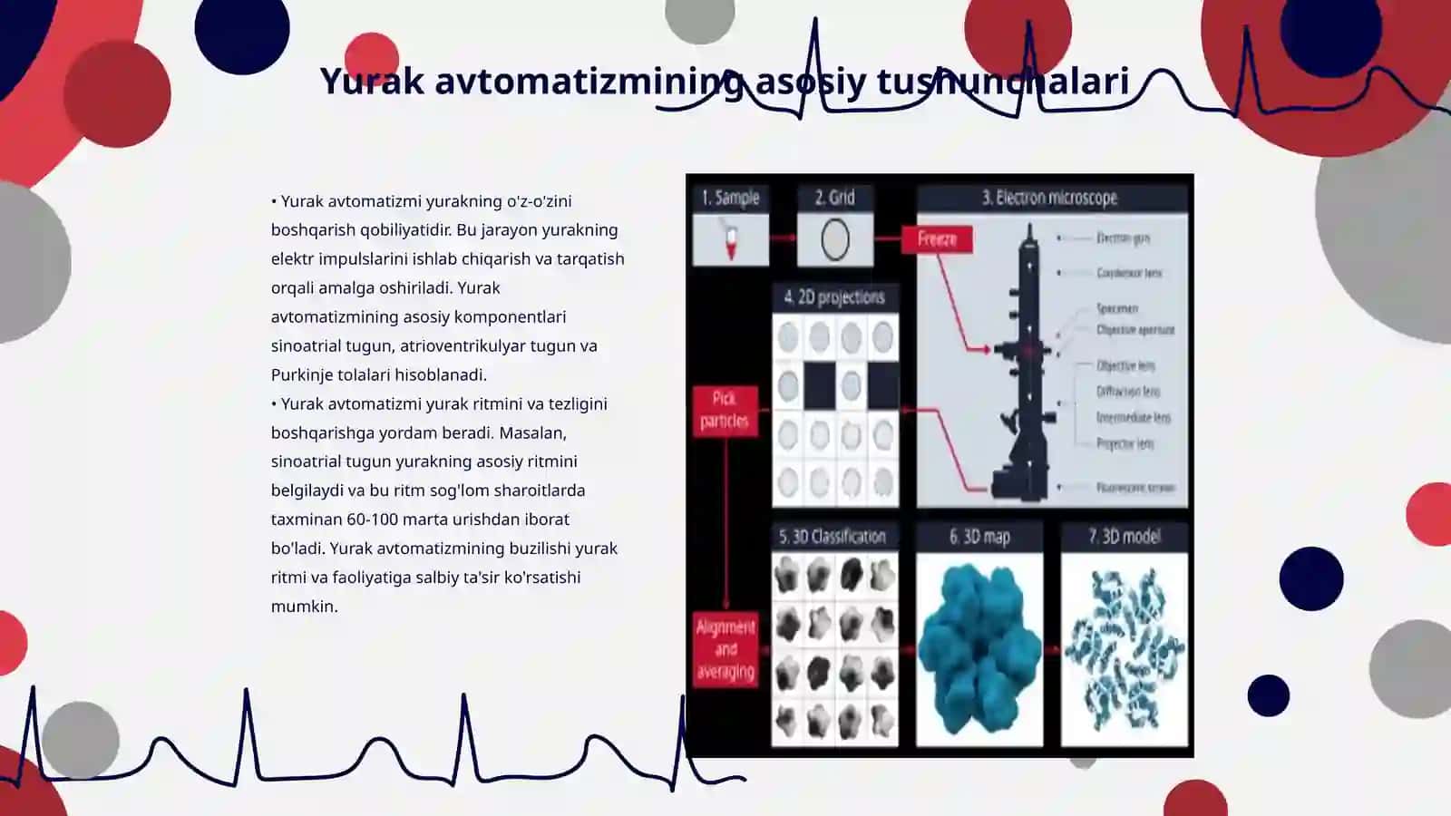 Yurak avtomatizm va uning boshqarilishi 3