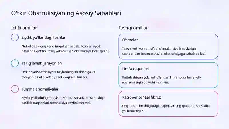 Siydik Ajratuv Tizimi Anatomiyasi 3