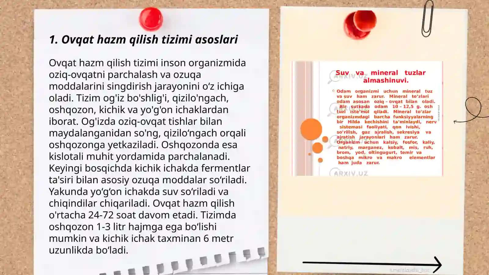 Ovqat hazm qilish tizimi 3