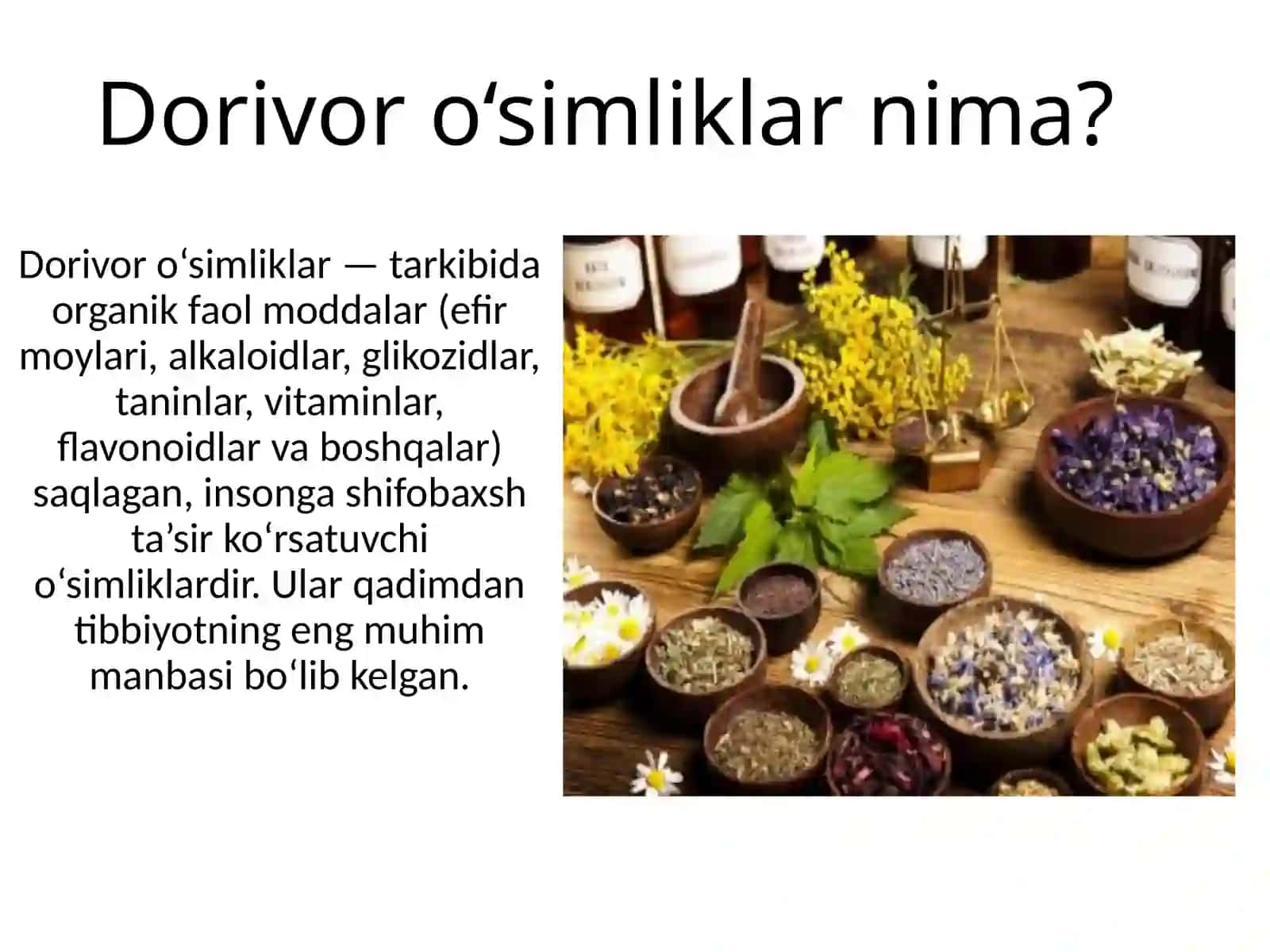 Dorivor oʻsimliklar 3