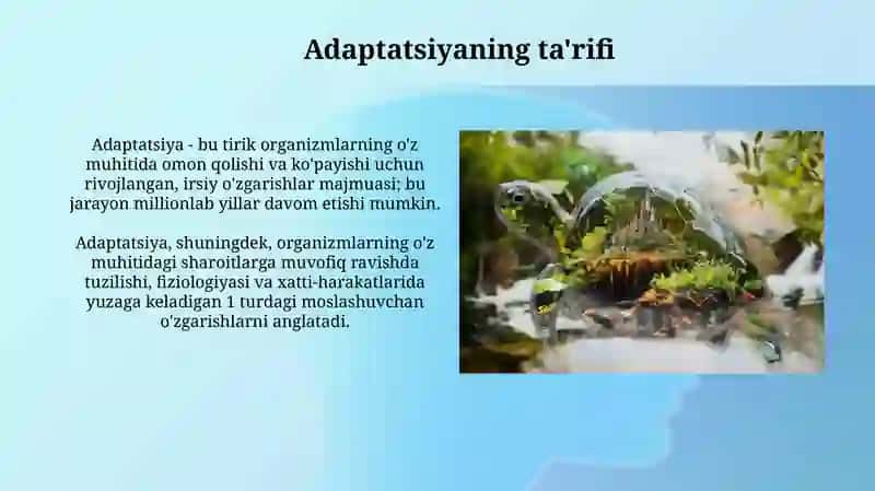Organizmlarning muhitga moslashishi va uning hillari 3