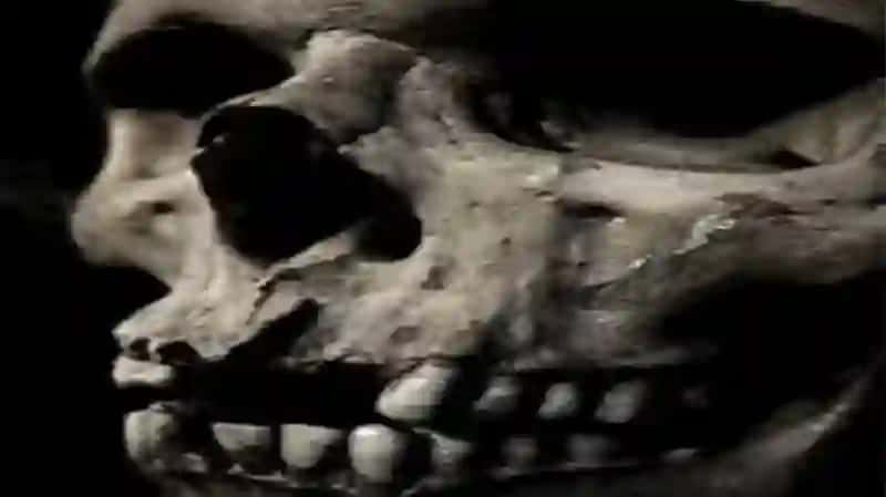 Oʻlim haqida tushuncha. Onalar o’limi. 3