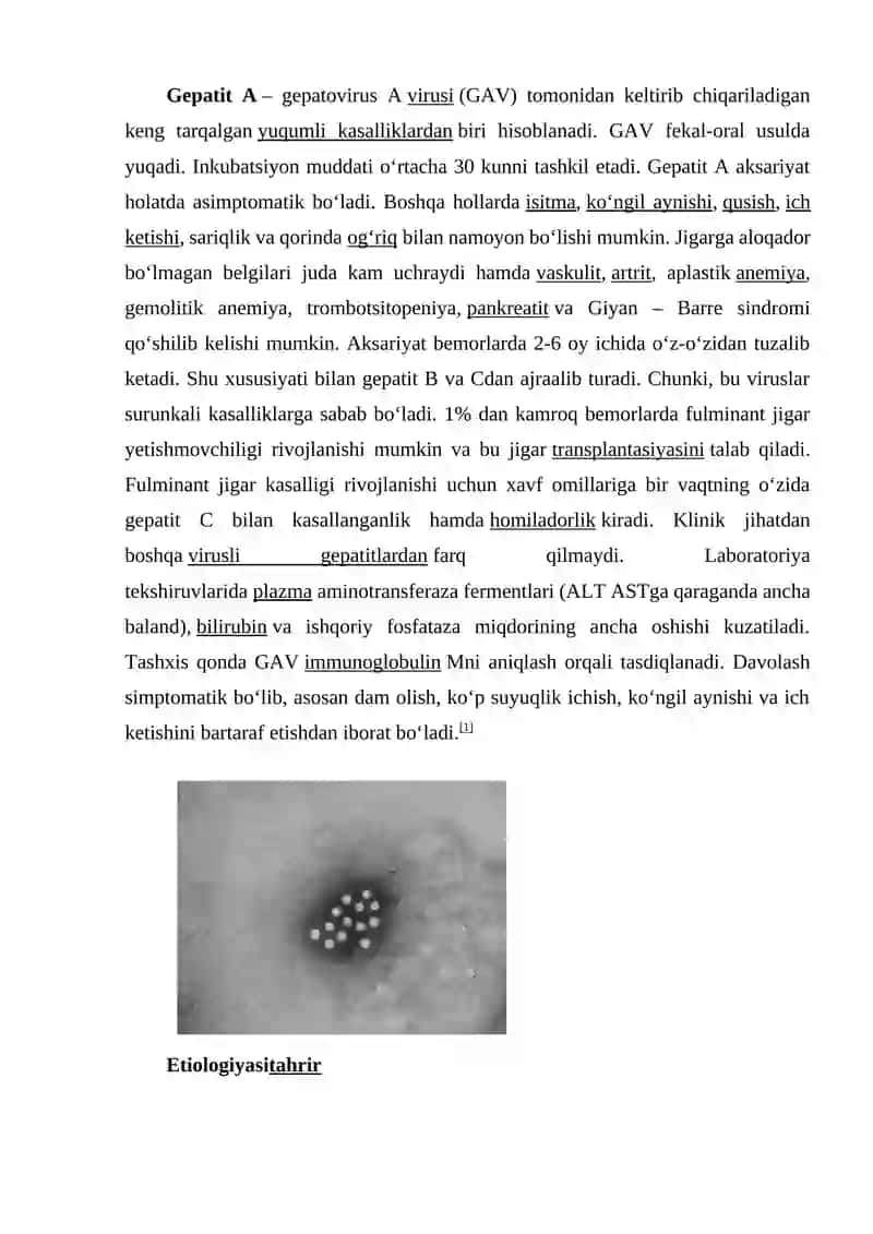 Gepatit Haqida Tushuncha 3