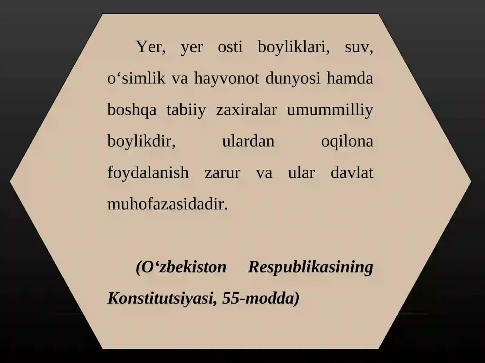 O'rmon, tabiiy resurs, o'rmon muhitining ekologik muvozanatini saqlovchi biosfera 3