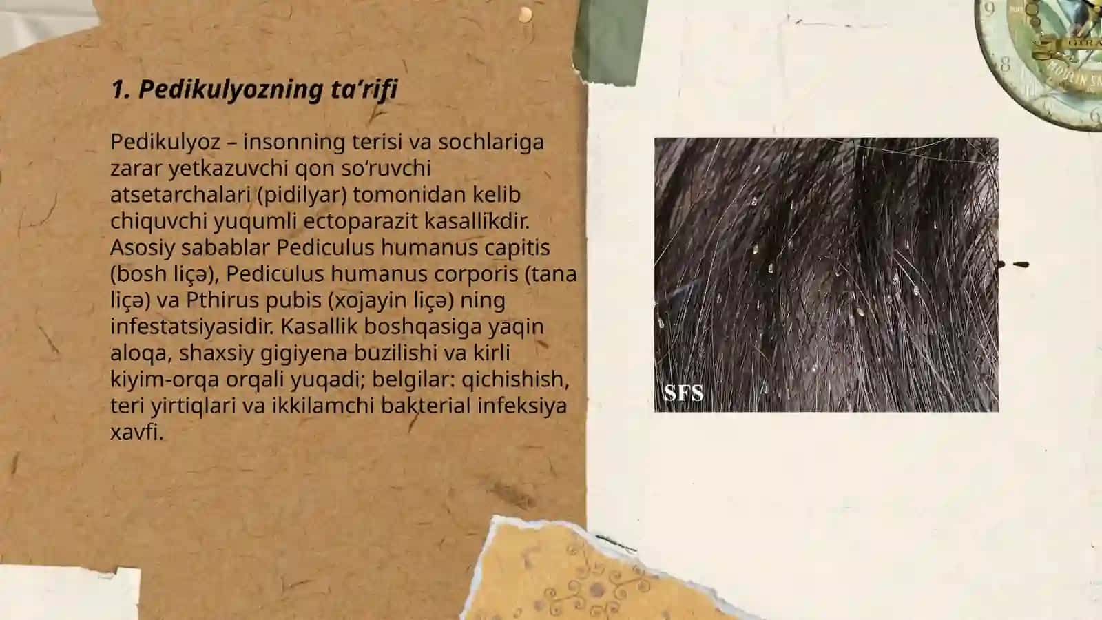 Pedikulyoz 3