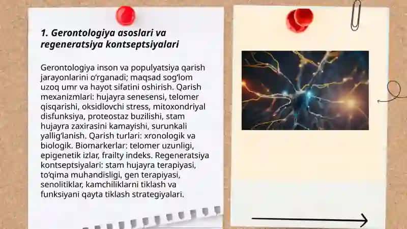 Gerantologiya. Regeneratsiya 3