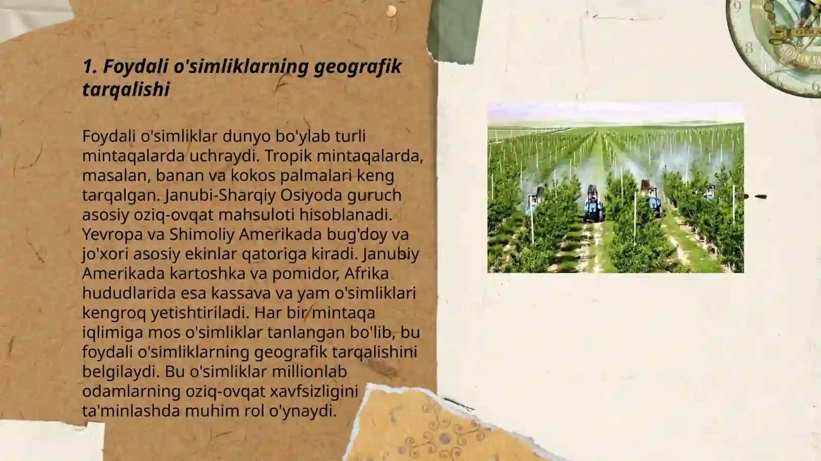 Foydali o'simliklarning areallari 3