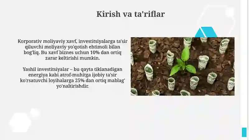 Yashil investitsiyalar va korporativ moliyaviy xavfni kamaytirish 3