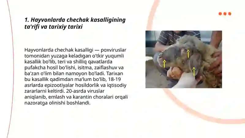 Hayvonlarda chechak kasalligi 3