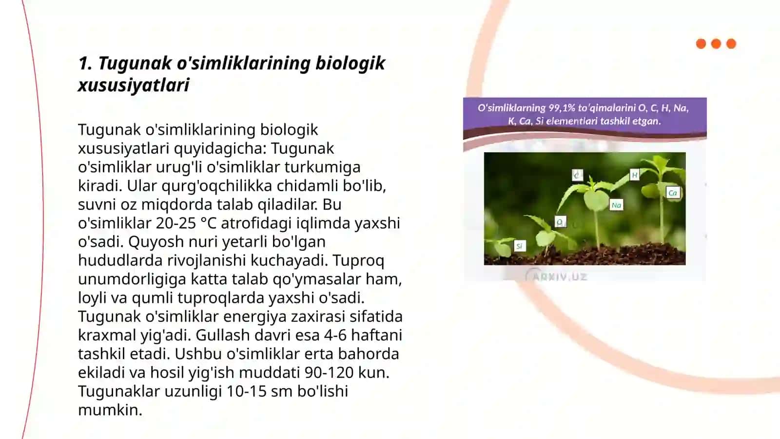 Tugunak va ildizmevali o‘simliklar 3