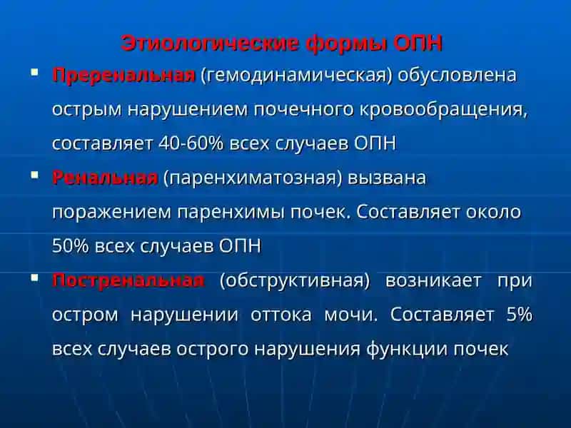 Студентлар учун касб-ҳунаржўм 3