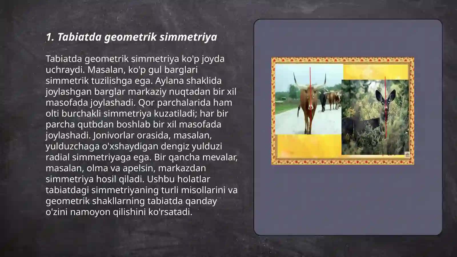 Tabiat va san'atda simmetriya 3
